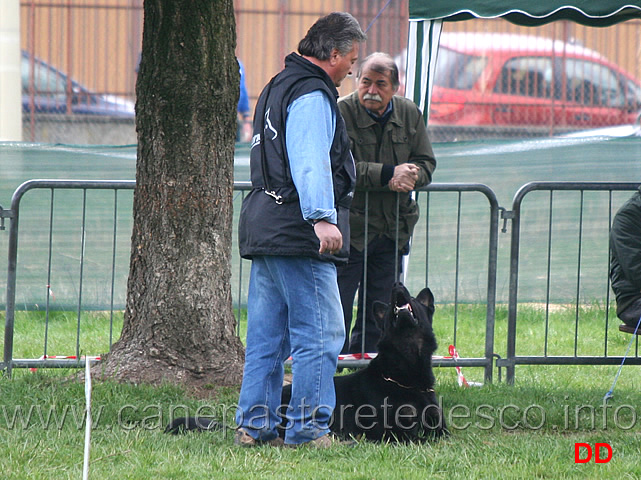 domenico-carnicella-con-vasco-di-casa-libardi-B84-IPO2.jpg - Domenico Carnicella con Vasco di Casa Libardi IPO2 (B punti 84)