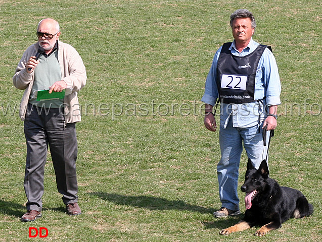 domenico-carnicella-con-vasco-di-casa-libardi-C88-IPO2.jpg - Domenico Carnicella con Vasco di Casa Libardi IPO2 (C punti 88)