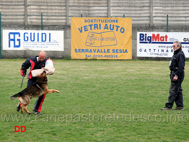 enzo-mascolo-con-bonny-C90-IPO3-03.jpg - Enzo Mascolo con Bonny IPO3 (C punti 90)