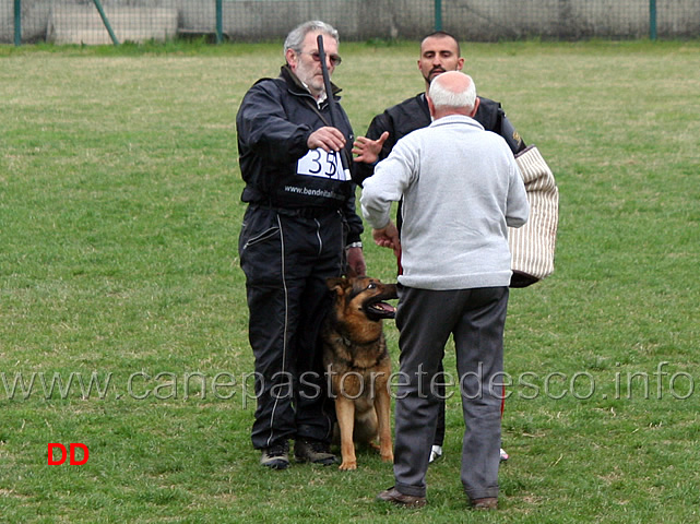 enzo-mascolo-con-bonny-C90-IPO3-04.jpg - Enzo Mascolo con Bonny IPO3 (C punti 90)