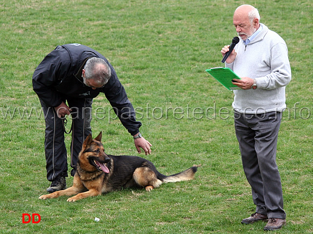 enzo-mascolo-con-bonny-C90-IPO3-06.jpg - Enzo Mascolo con Bonny IPO3 (C punti 90)