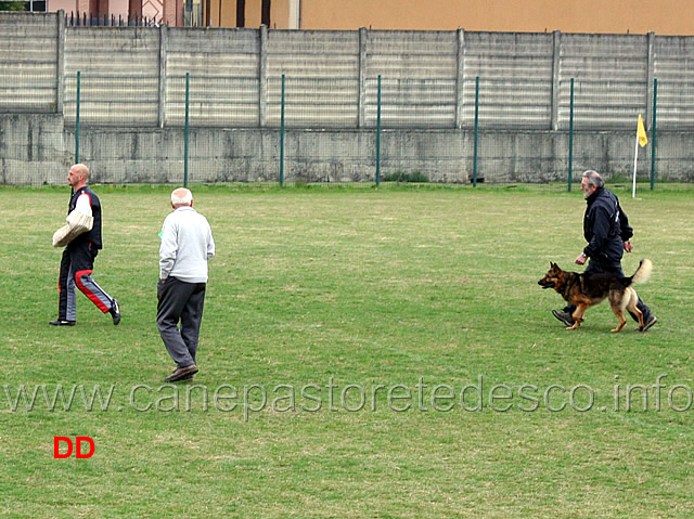 enzo-mascolo-con-bonny-C90-IPO3.jpg - Enzo Mascolo con Bonny IPO3 (C punti 90)