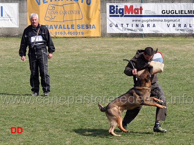 franco-luna-con-brando-della-croce-del-sud-C86-IPO2.jpg - Franco Luna con Brando della Croce del Sud IPO2 (C punti 86)