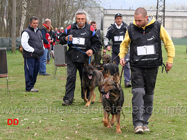 giudizio-morfologico-02.jpg - Giudizio morfologico maschi