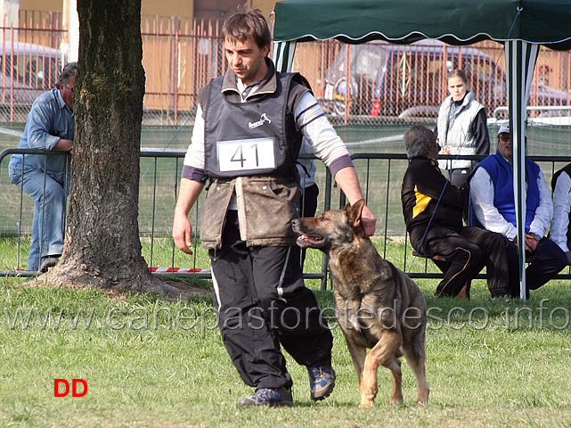 giuseppe-spinello-con-max-di-casa-nosella-B76-IPO3-04.jpg - Giuseppe Spinello con Max di Casa Nosella IPO3 (B punti 76)