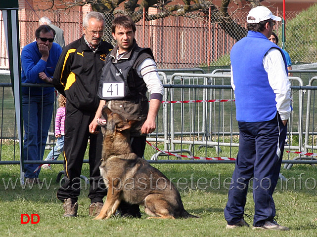 giuseppe-spinello-con-max-di-casa-nosella-B76-IPO3-13.jpg - Giuseppe Spinello con Max di Casa Nosella IPO3 (B punti 76)