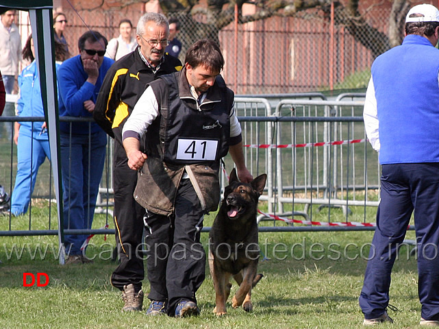 giuseppe-spinello-con-max-di-casa-nosella-B76-IPO3-14.jpg - Giuseppe Spinello con Max di Casa Nosella IPO3 (B punti 76)