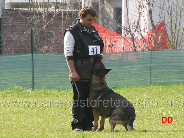 giuseppe-spinello-con-max-di-casa-nosella-B76-IPO3-17.jpg - Giuseppe Spinello con Max di Casa Nosella IPO3 (B punti 76)