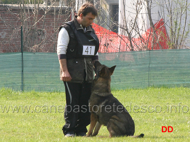 giuseppe-spinello-con-max-di-casa-nosella-B76-IPO3-18.jpg - Giuseppe Spinello con Max di Casa Nosella IPO3 (B punti 76)