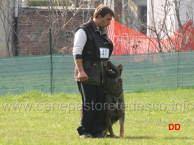 giuseppe-spinello-con-max-di-casa-nosella-B76-IPO3-19.jpg - Giuseppe Spinello con Max di Casa Nosella IPO3 (B punti 76)