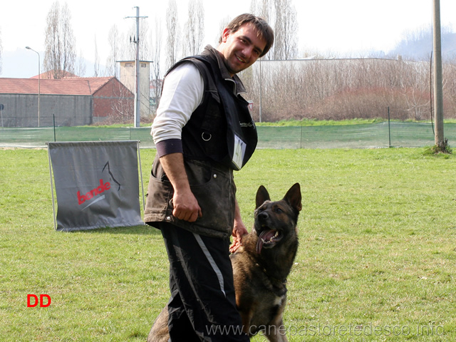 giuseppe-spinello-con-max-di-casa-nosella-B76-IPO3-26.jpg - Giuseppe Spinello con Max di Casa Nosella IPO3 (B punti 76)