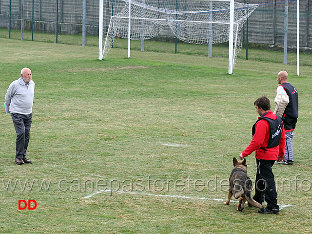 giuseppe-spinello-con-max-di-casa-nosella-C78-IPO3-02.jpg - Giuseppe Spinello con Max di Casa Nosella IPO3 (C punti 78)