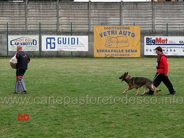 giuseppe-spinello-con-max-di-casa-nosella-C78-IPO3-04.jpg - Giuseppe Spinello con Max di Casa Nosella IPO3 (C punti 78)