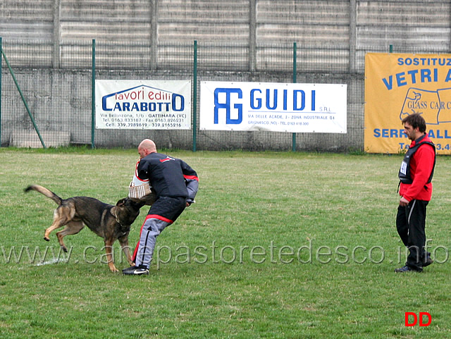 giuseppe-spinello-con-max-di-casa-nosella-C78-IPO3-05.jpg - Giuseppe Spinello con Max di Casa Nosella IPO3 (C punti 78)