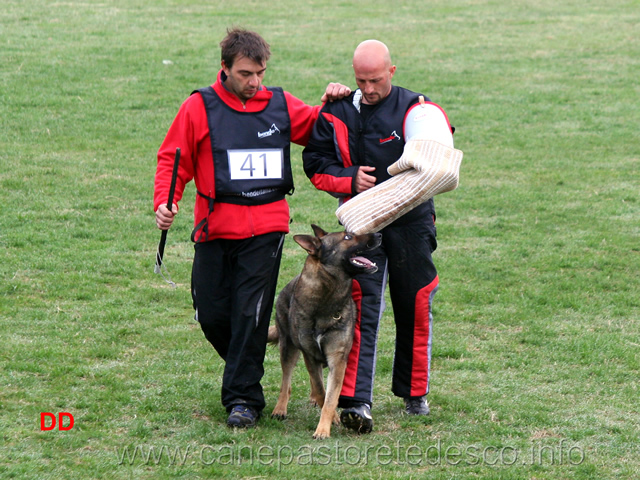 giuseppe-spinello-con-max-di-casa-nosella-C78-IPO3-06.jpg - Giuseppe Spinello con Max di Casa Nosella IPO3 (C punti 78)