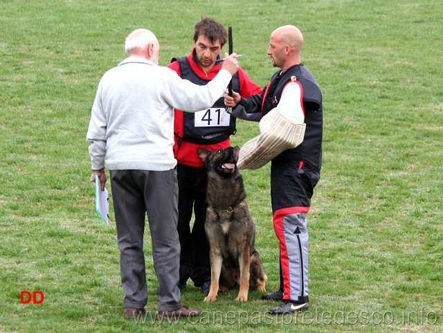 giuseppe-spinello-con-max-di-casa-nosella-C78-IPO3-07.jpg - Giuseppe Spinello con Max di Casa Nosella IPO3 (C punti 78)