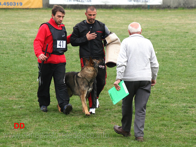 giuseppe-spinello-con-max-di-casa-nosella-C78-IPO3-08.jpg - Giuseppe Spinello con Max di Casa Nosella IPO3 (C punti 78)