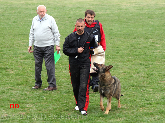 giuseppe-spinello-con-max-di-casa-nosella-C78-IPO3-09.jpg - Giuseppe Spinello con Max di Casa Nosella IPO3 (C punti 78)