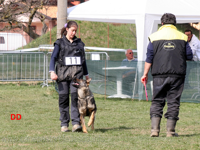 laura-alberganti-con-trixi-di-casa-nosella-02.jpg - Laura Alberganti con Trixi di Casa Nosella IPO1 (B punti 65)