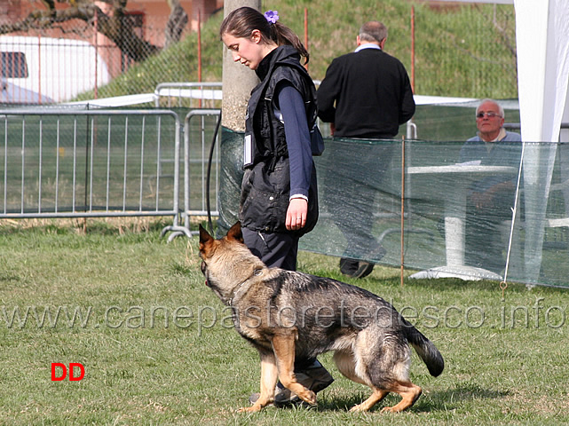 laura-alberganti-con-trixi-di-casa-nosella-03.jpg - Laura Alberganti con Trixi di Casa Nosella IPO1 (B punti 65)