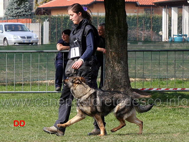 laura-alberganti-con-trixi-di-casa-nosella-05.jpg - Laura Alberganti con Trixi di Casa Nosella IPO1 (B punti 65)