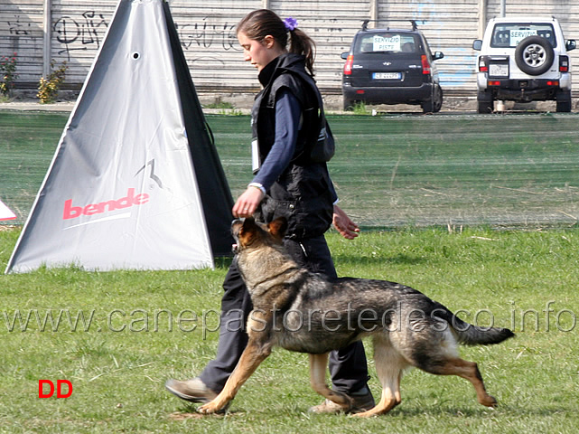 laura-alberganti-con-trixi-di-casa-nosella-07.jpg - Laura Alberganti con Trixi di Casa Nosella IPO1 (B punti 65)