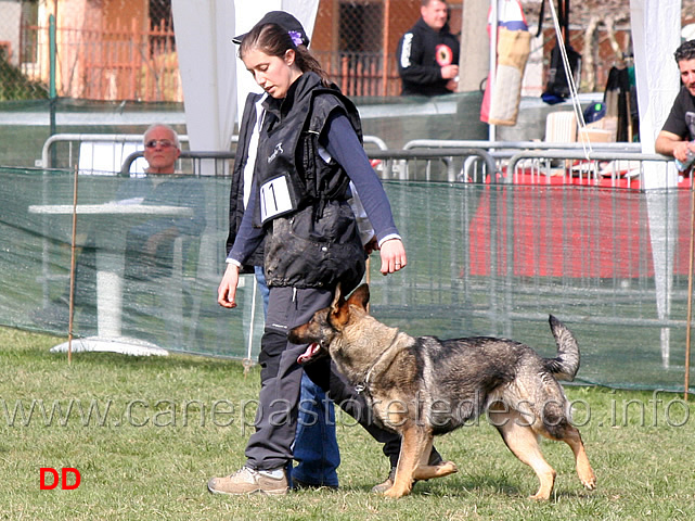 laura-alberganti-con-trixi-di-casa-nosella-12.jpg - Laura Alberganti con Trixi di Casa Nosella IPO1 (B punti 65)