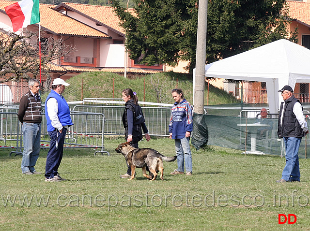 laura-alberganti-con-trixi-di-casa-nosella-14.jpg - Laura Alberganti con Trixi di Casa Nosella IPO1 (B punti 65)