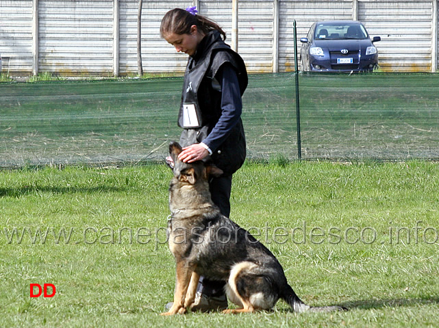 laura-alberganti-con-trixi-di-casa-nosella-17.jpg - Laura Alberganti con Trixi di Casa Nosella IPO1 (B punti 65)