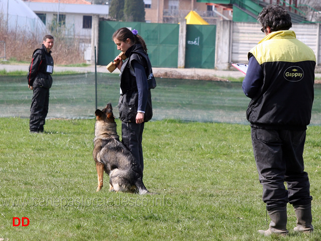 laura-alberganti-con-trixi-di-casa-nosella-18.jpg - Laura Alberganti con Trixi di Casa Nosella IPO1 (B punti 65)