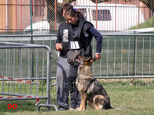 laura-alberganti-con-trixi-di-casa-nosella.jpg - Laura Alberganti con Trixi di Casa Nosella IPO1 (B punti 65)