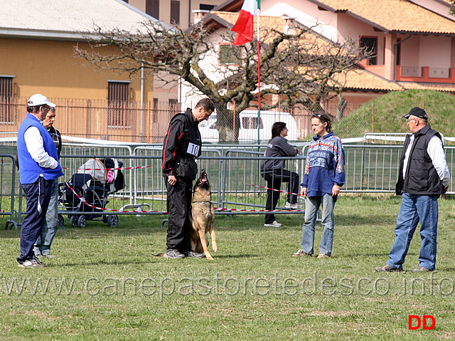 luca-pierini-con-doc-holliday-della-croce-del-sud-B75-IPO1-03.jpg - Luca Pierini con Doc Holiday della Croce del Sud IPO1 (B punti 75)