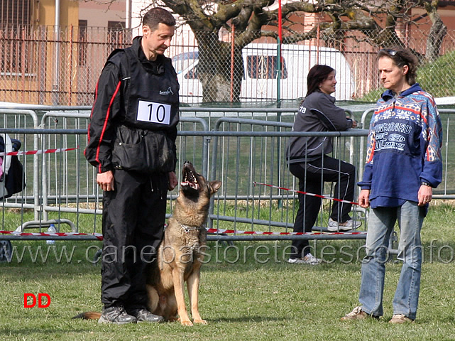 luca-pierini-con-doc-holliday-della-croce-del-sud-B75-IPO1-04.jpg - Luca Pierini con Doc Holiday della Croce del Sud IPO1 (B punti 75)