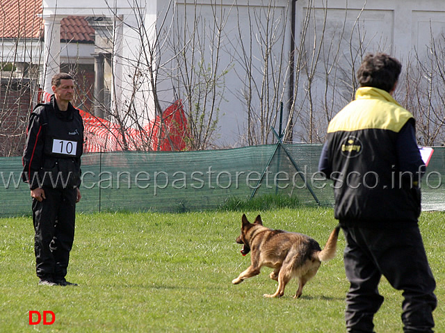 luca-pierini-con-doc-holliday-della-croce-del-sud-B75-IPO1-05.jpg - Luca Pierini con Doc Holiday della Croce del Sud IPO1 (B punti 75)