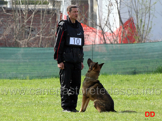 luca-pierini-con-doc-holliday-della-croce-del-sud-B75-IPO1-06.jpg - Luca Pierini con Doc Holiday della Croce del Sud IPO1 (B punti 75)