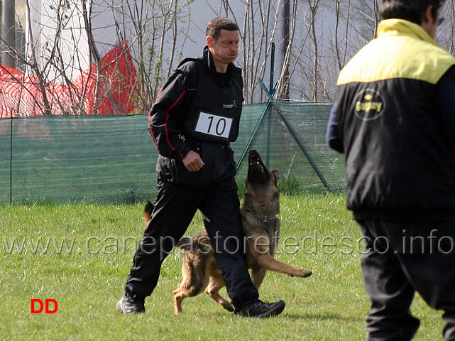 luca-pierini-con-doc-holliday-della-croce-del-sud-B75-IPO1-07.jpg - Luca Pierini con Doc Holiday della Croce del Sud IPO1 (B punti 75)