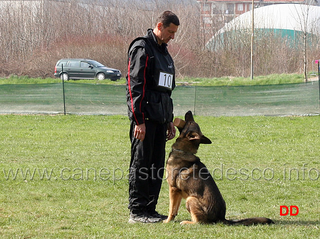 luca-pierini-con-doc-holliday-della-croce-del-sud-B75-IPO1-08.jpg - Luca Pierini con Doc Holiday della Croce del Sud IPO1 (B punti 75)