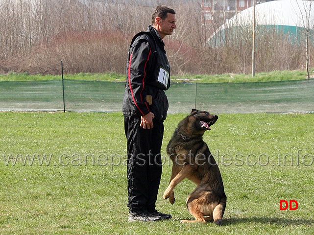 luca-pierini-con-doc-holliday-della-croce-del-sud-B75-IPO1-09.jpg - Luca Pierini con Doc Holiday della Croce del Sud IPO1 (B punti 75)