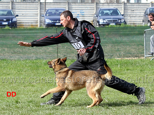 luca-pierini-con-doc-holliday-della-croce-del-sud-B75-IPO1-10.jpg - Luca Pierini con Doc Holiday della Croce del Sud IPO1 (B punti 75)