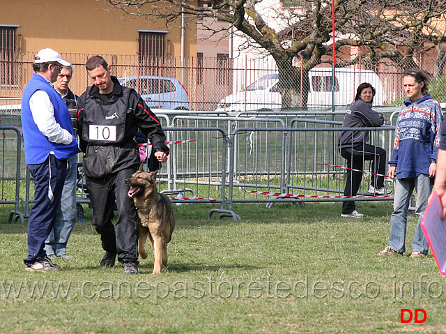 luca-pierini-con-doc-holliday-della-croce-del-sud-B75-IPO1.jpg - Luca Pierini con Doc Holiday della Croce del Sud IPO1 (B punti 75)