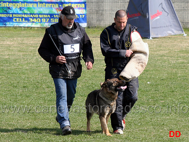 luciano-amistani-con-asia-v-kloster-steinach-C93-IPO1-04.jpg - Luciano Amistani con Asia v.Kloster Steinach IPO1 (C punti 92)