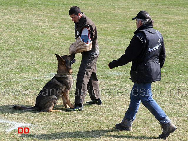 luciano-amistani-con-asia-v-kloster-steinach-C93-IPO1.jpg - Luciano Amistani con Asia v.Kloster Steinach IPO1 (C punti 92)