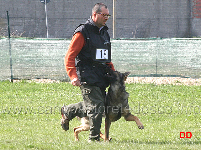 massimo-cappai-con-ronny-di-croce-santo-spirito-B72-IPO1-02.jpg - Massimo Cappai con Ronny di Croce Santo Spirito IPO1 (B punti 72)