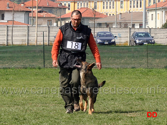 massimo-cappai-con-ronny-di-croce-santo-spirito-B72-IPO1-03.jpg - Massimo Cappai con Ronny di Croce Santo Spirito IPO1 (B punti 72)