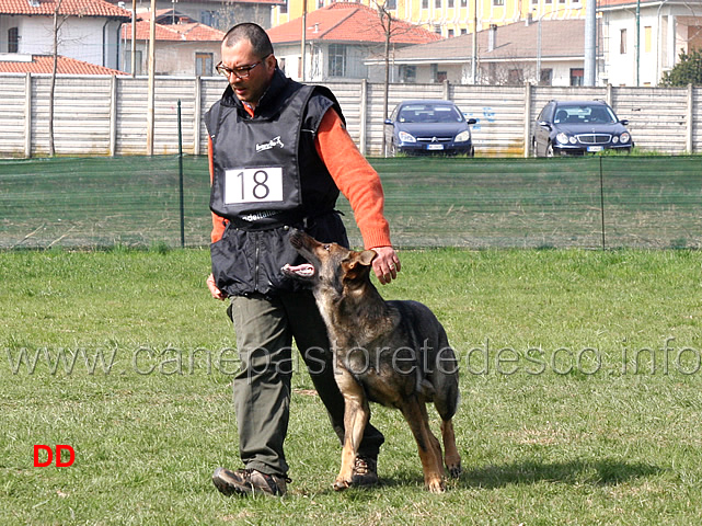 massimo-cappai-con-ronny-di-croce-santo-spirito-B72-IPO1-04.jpg - Massimo Cappai con Ronny di Croce Santo Spirito IPO1 (B punti 72)