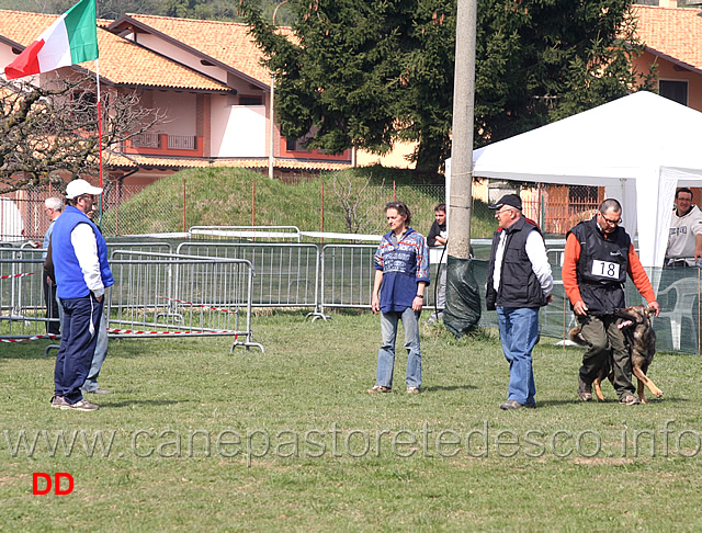 massimo-cappai-con-ronny-di-croce-santo-spirito-B72-IPO1-05.jpg - Massimo Cappai con Ronny di Croce Santo Spirito IPO1 (B punti 72)