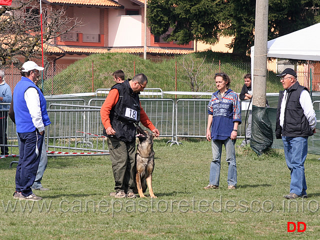 massimo-cappai-con-ronny-di-croce-santo-spirito-B72-IPO1-07.jpg - Massimo Cappai con Ronny di Croce Santo Spirito IPO1 (B punti 72)