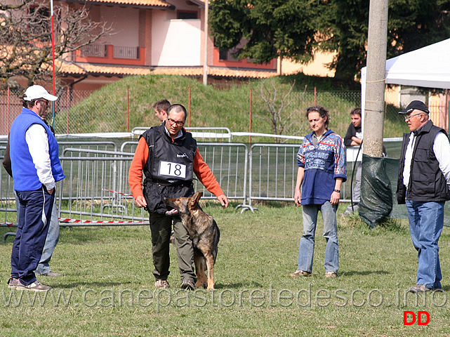 massimo-cappai-con-ronny-di-croce-santo-spirito-B72-IPO1-08.jpg - Massimo Cappai con Ronny di Croce Santo Spirito IPO1 (B punti 72)