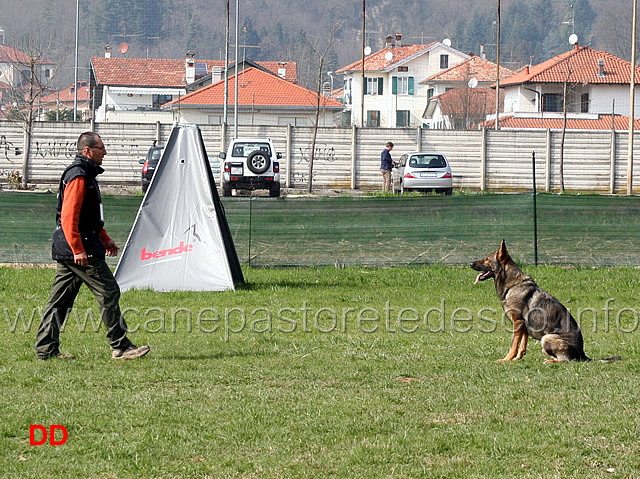 massimo-cappai-con-ronny-di-croce-santo-spirito-B72-IPO1-12.jpg - Massimo Cappai con Ronny di Croce Santo Spirito IPO1 (B punti 72)