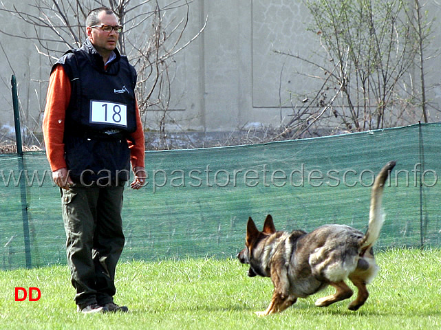 massimo-cappai-con-ronny-di-croce-santo-spirito-B72-IPO1-15.jpg - Massimo Cappai con Ronny di Croce Santo Spirito IPO1 (B punti 72)